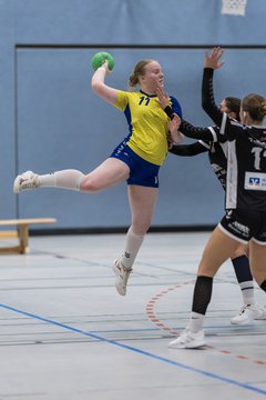 Bild 163 - F HSG Pinnau2 - Rellinger TV2 : Ergebnis: 27:20